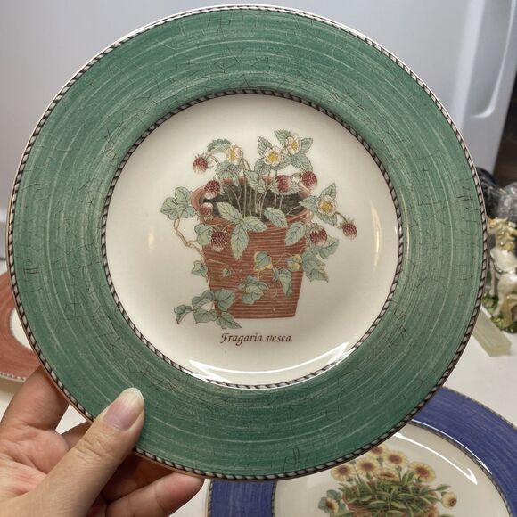 Set of 4 Wedgwood Sarah's Garden Salad Plates - One of Each Color 8 1/4” - Picture 2 of 14